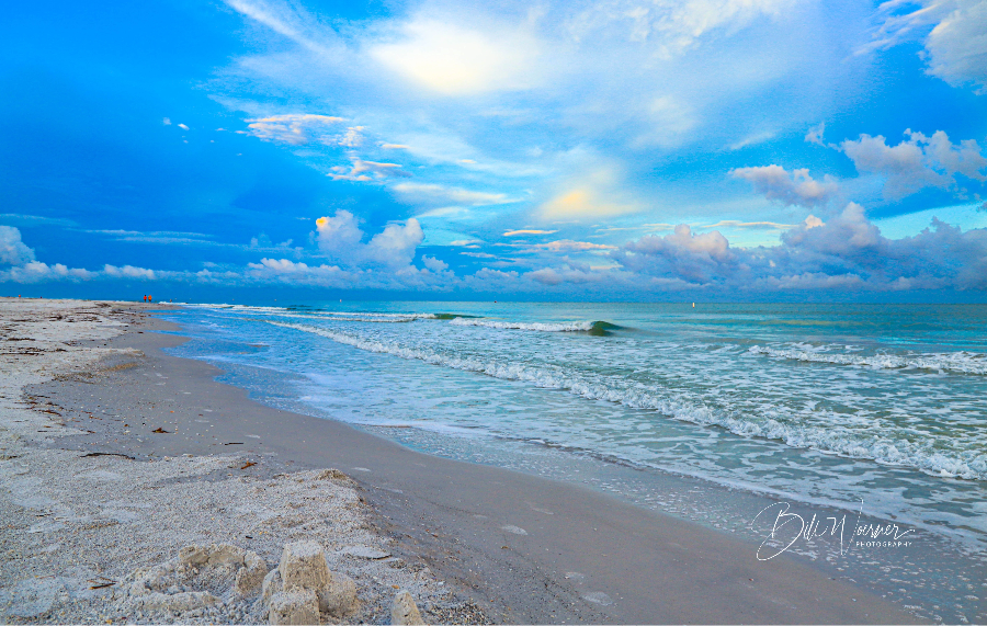 sandy beach next to the ocean