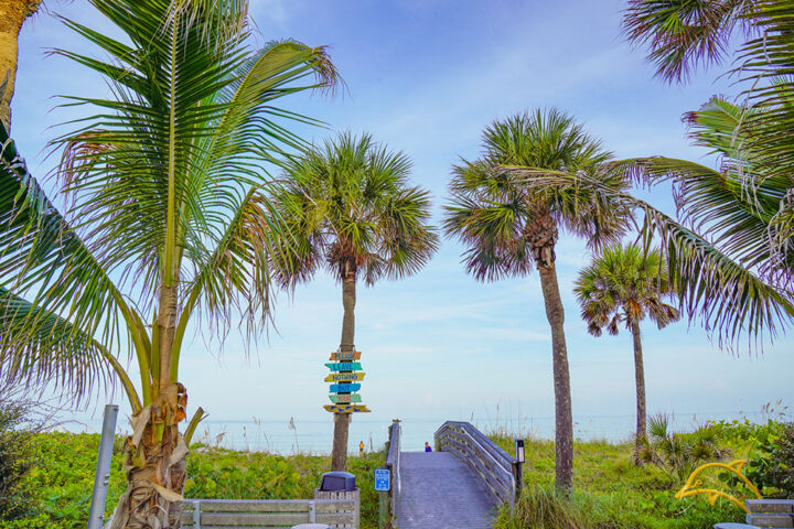 City board button. beach entrance image
