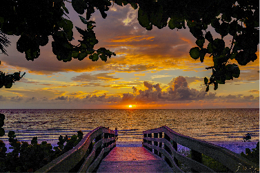 beach at sunset