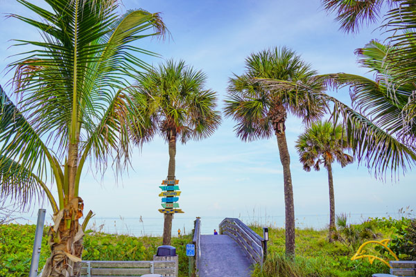 Palm trees frame florida beach entrance