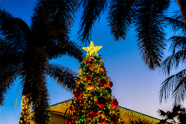 lit Christmas tree with palm trees