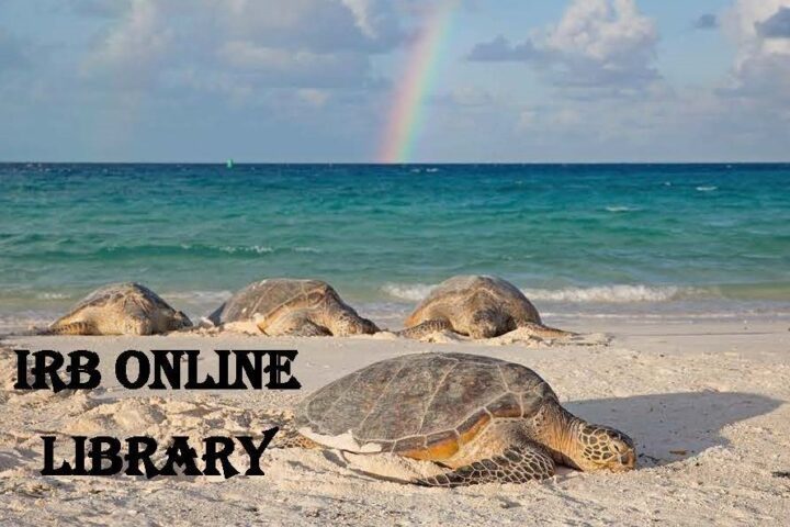 IRB online Library text with sea turtles on the beach with a rainbow